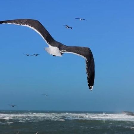 Villa L'Oiseau Bleu Szavíra Kültér fotó