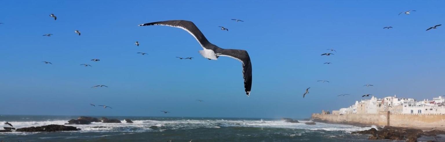 Villa L'Oiseau Bleu Szavíra Kültér fotó